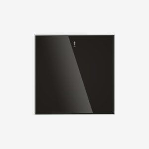 Intelligent central control host P01